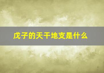 戊子的天干地支是什么