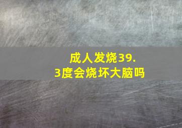 成人发烧39.3度会烧坏大脑吗