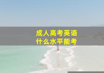 成人高考英语什么水平能考