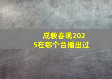 成毅春晚2025在哪个台播出过