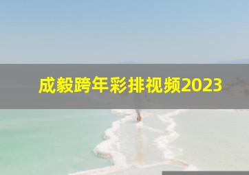 成毅跨年彩排视频2023