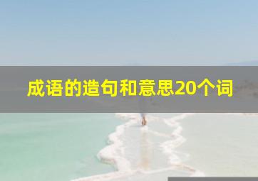 成语的造句和意思20个词