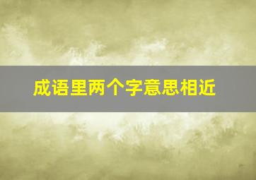 成语里两个字意思相近