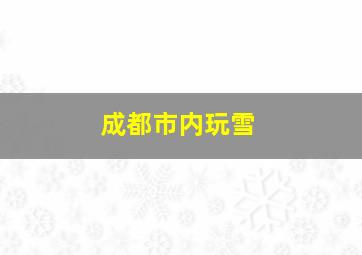 成都市内玩雪