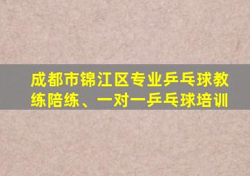 成都市锦江区专业乒乓球教练陪练、一对一乒乓球培训