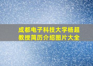 成都电子科技大学杨超教授简历介绍图片大全