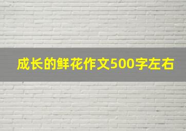 成长的鲜花作文500字左右