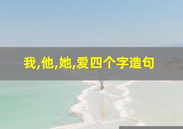 我,他,她,爱四个字造句