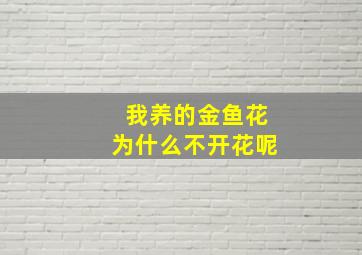 我养的金鱼花为什么不开花呢