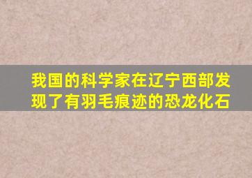 我国的科学家在辽宁西部发现了有羽毛痕迹的恐龙化石