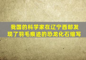 我国的科学家在辽宁西部发现了羽毛痕迹的恐龙化石缩写