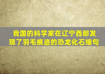 我国的科学家在辽宁西部发现了羽毛痕迹的恐龙化石缩句