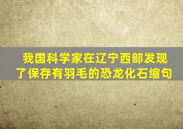 我国科学家在辽宁西部发现了保存有羽毛的恐龙化石缩句