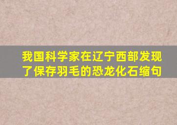 我国科学家在辽宁西部发现了保存羽毛的恐龙化石缩句