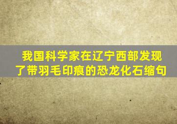 我国科学家在辽宁西部发现了带羽毛印痕的恐龙化石缩句