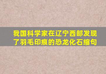 我国科学家在辽宁西部发现了羽毛印痕的恐龙化石缩句