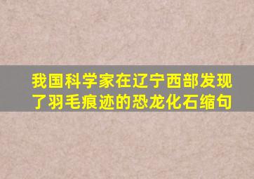 我国科学家在辽宁西部发现了羽毛痕迹的恐龙化石缩句