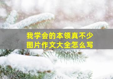 我学会的本领真不少图片作文大全怎么写