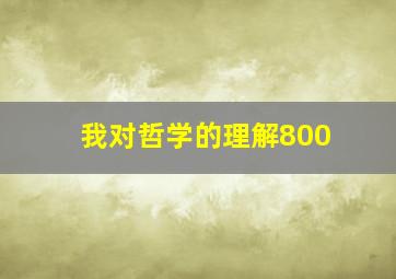 我对哲学的理解800