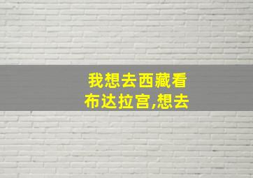 我想去西藏看布达拉宫,想去