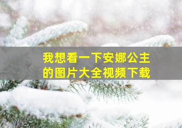 我想看一下安娜公主的图片大全视频下载