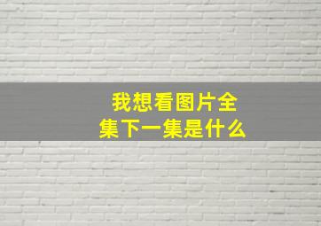 我想看图片全集下一集是什么