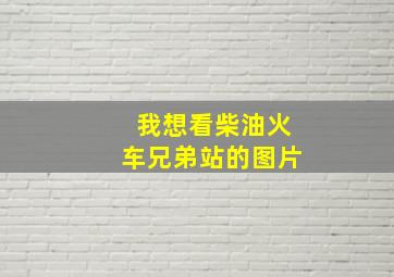 我想看柴油火车兄弟站的图片