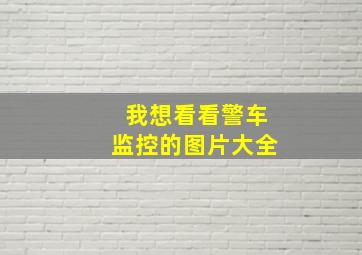 我想看看警车监控的图片大全