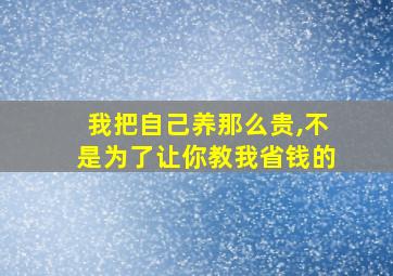 我把自己养那么贵,不是为了让你教我省钱的