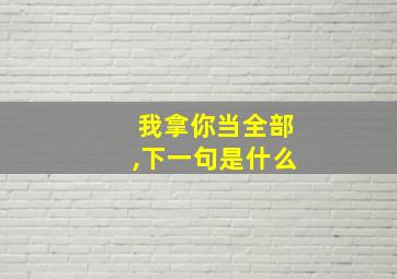 我拿你当全部,下一句是什么