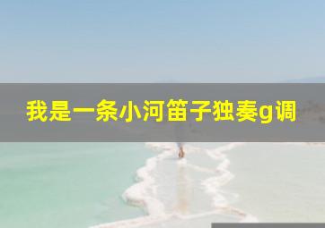 我是一条小河笛子独奏g调