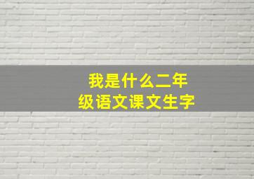 我是什么二年级语文课文生字