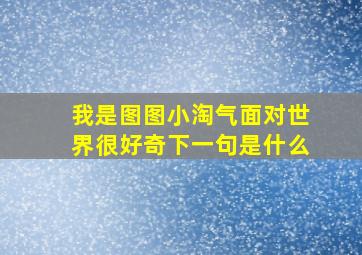 我是图图小淘气面对世界很好奇下一句是什么