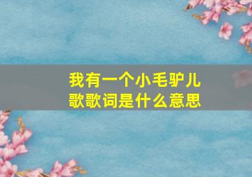 我有一个小毛驴儿歌歌词是什么意思