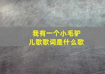 我有一个小毛驴儿歌歌词是什么歌