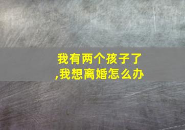 我有两个孩子了,我想离婚怎么办