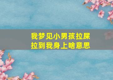 我梦见小男孩拉屎拉到我身上啥意思