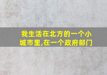 我生活在北方的一个小城市里,在一个政府部门