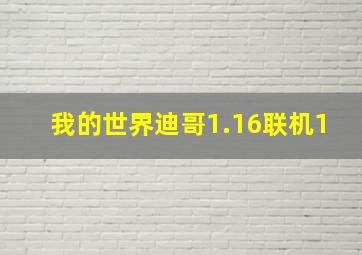 我的世界迪哥1.16联机1