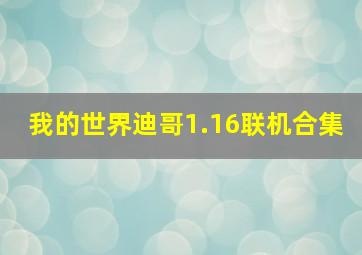 我的世界迪哥1.16联机合集