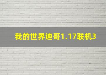 我的世界迪哥1.17联机3