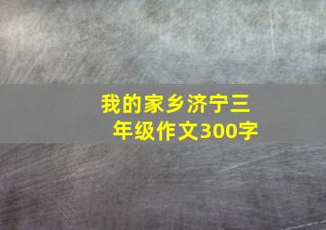 我的家乡济宁三年级作文300字