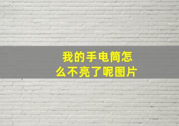 我的手电筒怎么不亮了呢图片