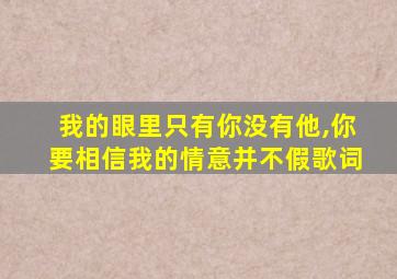 我的眼里只有你没有他,你要相信我的情意并不假歌词