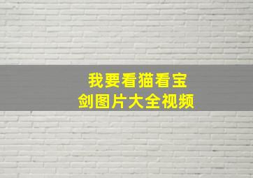 我要看猫看宝剑图片大全视频