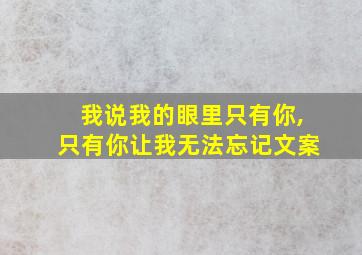 我说我的眼里只有你,只有你让我无法忘记文案