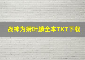 战神为婿叶麟全本TXT下载