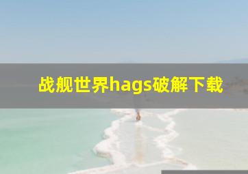 战舰世界hags破解下载