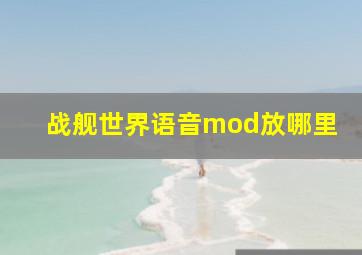 战舰世界语音mod放哪里