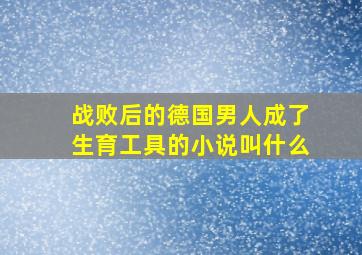 战败后的德国男人成了生育工具的小说叫什么